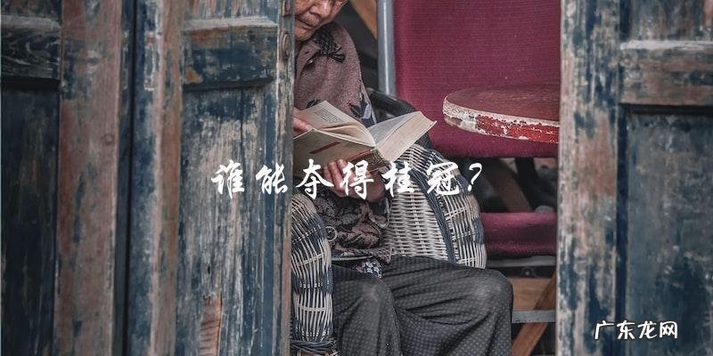 谁能夺得中国流量明星排行榜的桂冠？