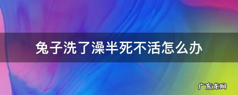 兔子洗了澡半死不活怎么办 为什么给兔子洗个澡就死了?