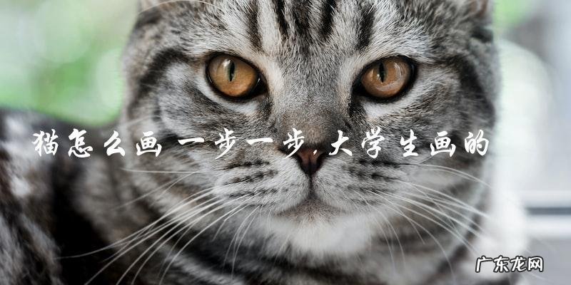 大学生如何一步一步画出猫?