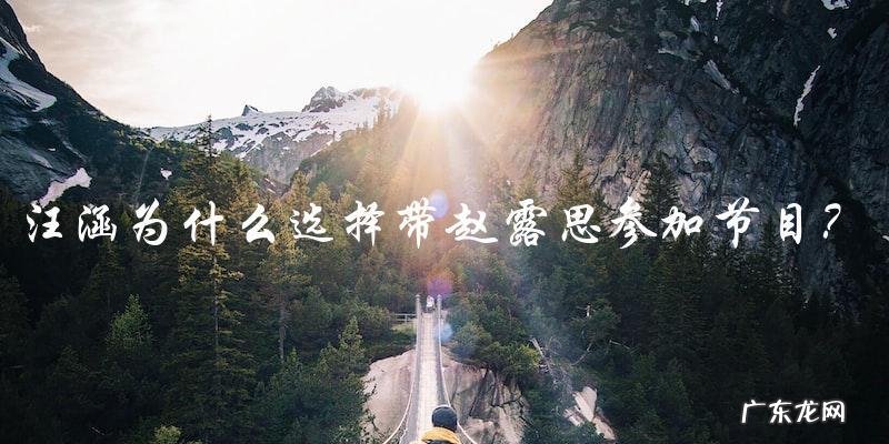 为什么汪涵会选择带上这个人参加节目？