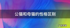 公猫和母猫的性格特点 公猫和母猫的性格区别