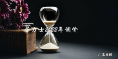 劳力士2022年调价
