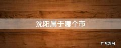 沈阳属于哪个市 沈阳属于哪个市管辖
