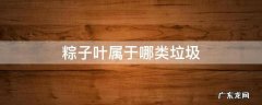 粽子叶属于哪类垃圾分类 粽子叶属于哪类垃圾