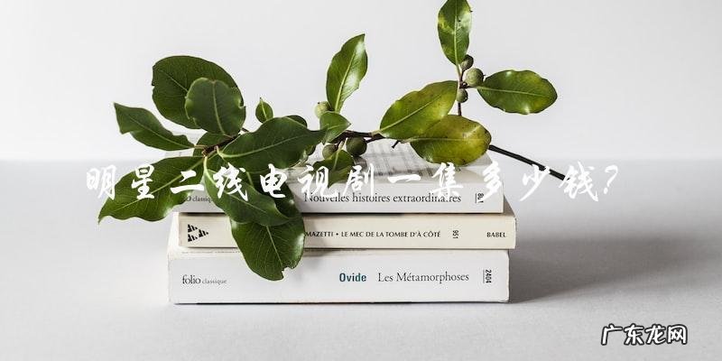 这个二线明星主演的电视剧,一集的制作费用竟然高达多少钱?