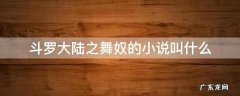 斗罗大陆之舞奴的小说叫什么