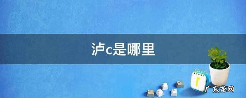 沪c是哪里的牌子 泸c是哪里