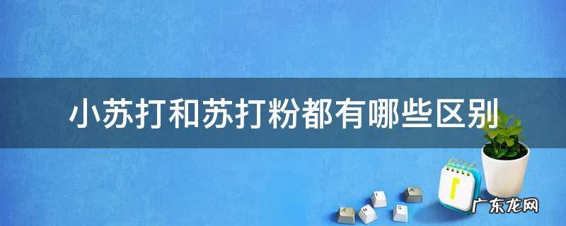 小苏打和苏打粉都有哪些区别 苏打和苏打粉的区别