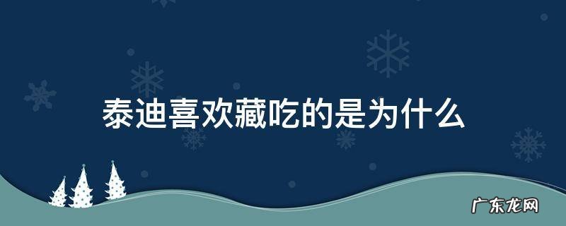 泰迪藏食物 泰迪喜欢藏吃的是为什么