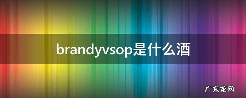 brandyvsop是什么酒 brandyvsop是什么酒多少钱
