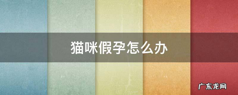 猫咪假怀孕怎么处理 猫咪假孕怎么办