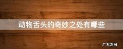 动物舌头的奇妙之处有哪些 动物的舌头有什么奇妙之处