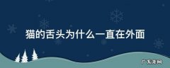 猫舌头经常在外面 猫的舌头为什么一直在外面