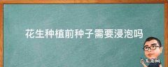 花生种子种植前需要泡多长时间 花生种植前种子需要浸泡吗
