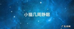 小猫大概几天睁眼 小猫几周睁眼