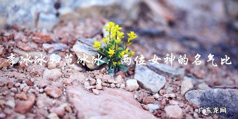 终极较量：李冰冰和范冰冰，谁才是真正的名气女王？