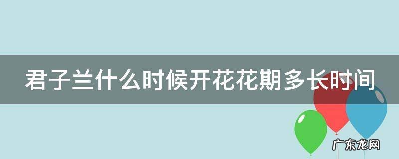 君子兰什么时候开花花期多长时间 君子兰什么时候开花?