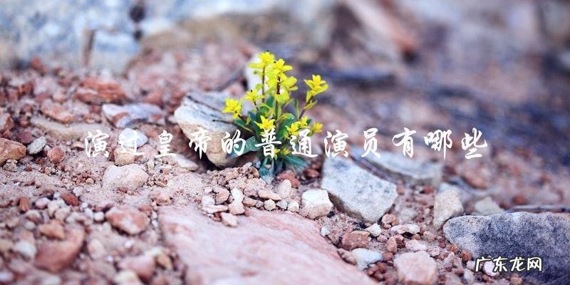 普通演员也能演皇帝?这些演员让你大开眼界!
