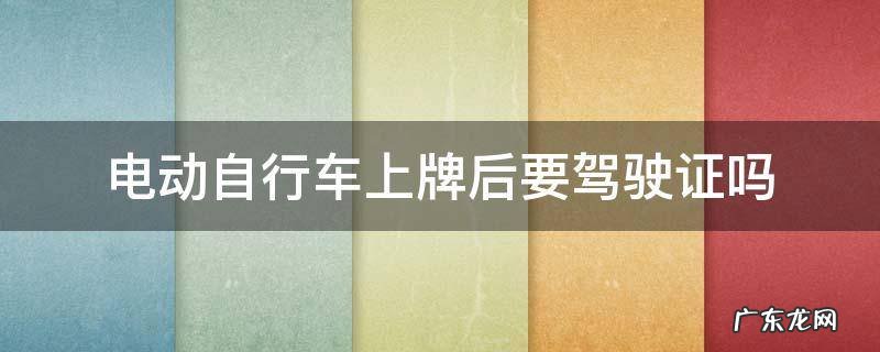 电动自行车上牌后要驾驶证吗 电动自行车上牌需要驾驶证吗