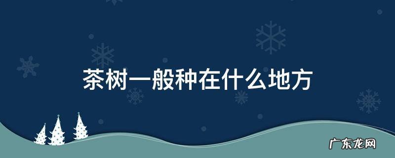 茶树应该种在什么地方 茶树一般种在什么地方