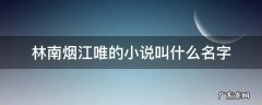 林南烟江唯的小说叫什么名字 主角江唯林南烟全文免费阅读