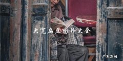 大宽扁豆图片大全