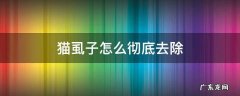 猫虱子怎么彻底去除 猫虱子怎么彻底去除最简单的方法