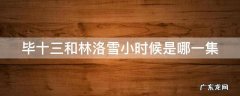 毕十三和林洛雪小时候是哪一集 毕十三认出林洛雪是林雪了吗