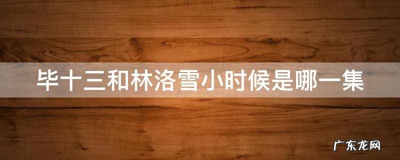 毕十三和林洛雪小时候是哪一集 毕十三认出林洛雪是林雪了吗