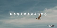 这些男明星为何成为现在最火的焦点？