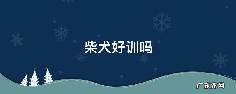 柴犬好训吗 柴犬太难训了