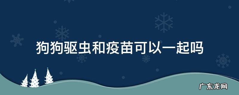 狗狗驱虫和打疫苗能一起吗 狗狗驱虫和疫苗可以一起吗