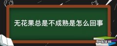 无花果总是不成熟是怎么回事 无花果不会成熟怎么办