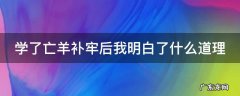 学了亡羊补牢后我明白了什么道理 学了亡羊补牢我们明白了什么道理