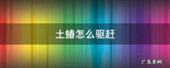 土蝽怎么处理 土蝽怎么驱赶