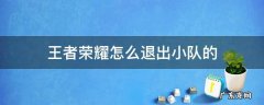 王者荣耀里怎样退出小队 王者荣耀怎么退出小队的