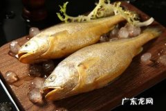 挑选鱼有技巧 怎么挑选鱼