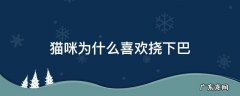 猫猫喜欢挠下巴 猫咪为什么喜欢挠下巴