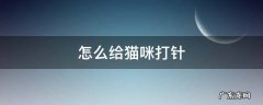 怎么给猫咪打针不疼 怎么给猫咪打针