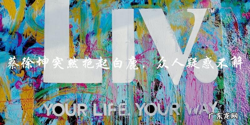 蔡徐坤突然抱起白鹿,众人疑惑不解,究竟发生了什么?