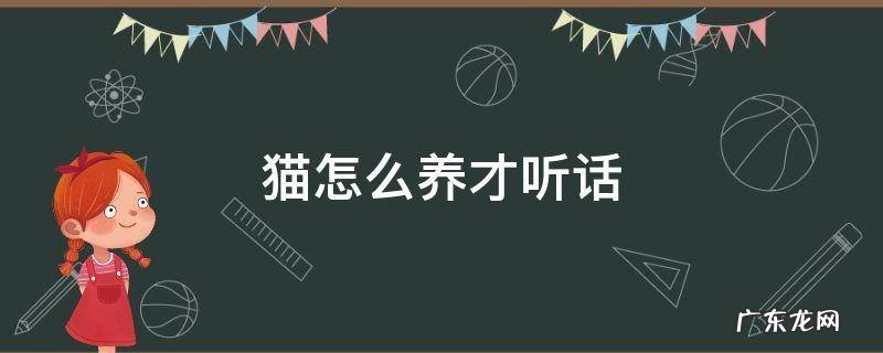 猫怎么养才听话 宠物猫怎么养才听话