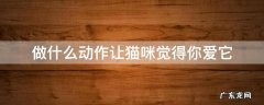 跟猫做什么动作表示你喜欢它 做什么动作让猫咪觉得你爱它
