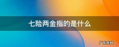 七险两金指的是什么待遇 七险两金指的是什么