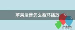 苹果录音怎么循环播放 苹果录音如何循环播放