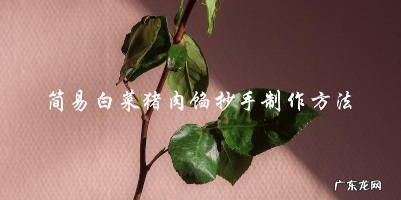 白菜猪肉馅抄手的简易制作方法