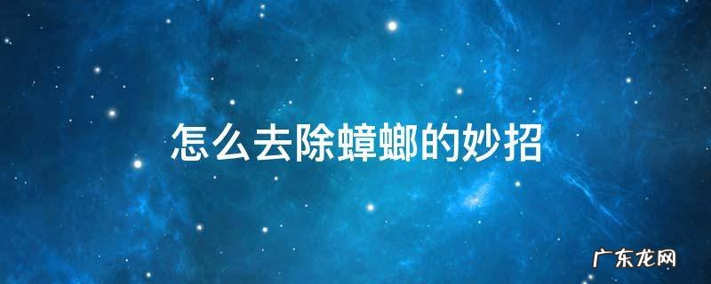 怎么去除蟑螂的妙招 去除蟑螂的小妙招