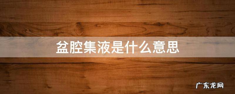 盆腔集液是什么意思 附件盆腔积液啥意思
