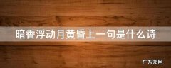 暗香浮动月黄昏什么意思 暗香浮动月黄昏上一句是什么诗