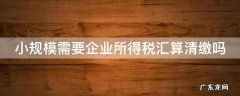 小规模需要企业所得税汇算清缴吗知乎 小规模需要企业所得税汇算清缴吗