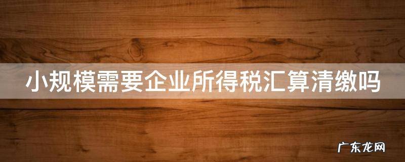 小规模需要企业所得税汇算清缴吗知乎 小规模需要企业所得税汇算清缴吗